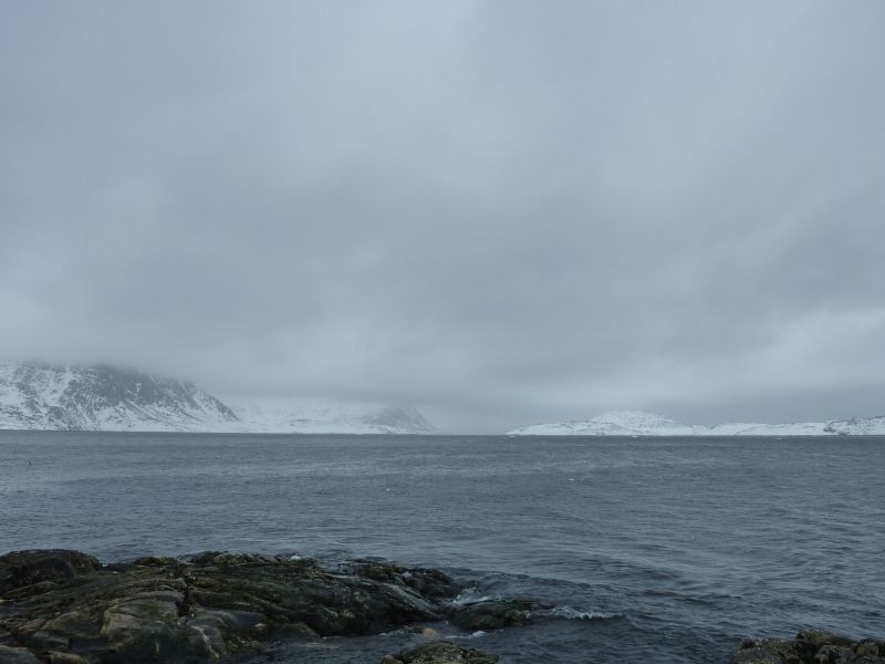 2011-03-30-1319_