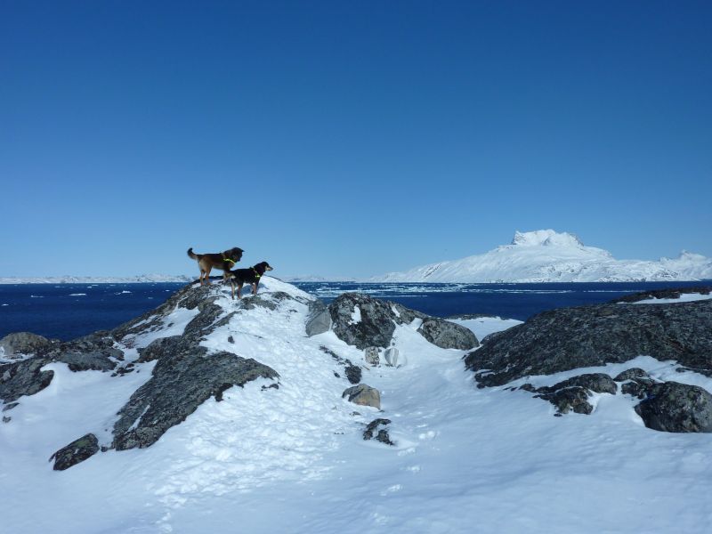 2011-04-01-1254_djanco_quna_sermitsiaq
