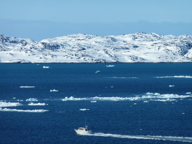 2011-04-01-1256_sterna_6
