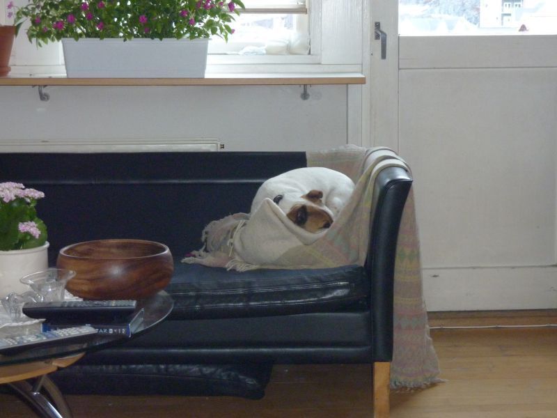 2011-06-01-2121_vaks