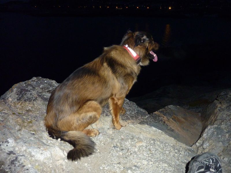 2011-06-01-2335_djanco