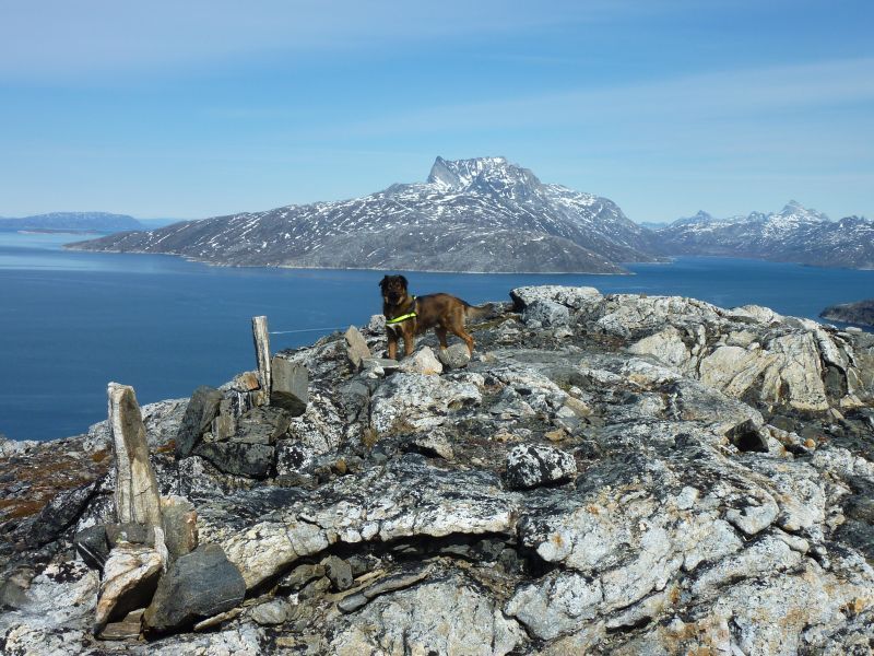 2011-06-23-1406_djanco_sermitsiaq_varde_3