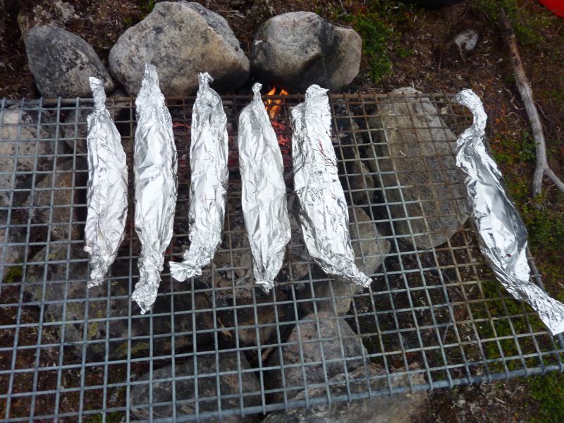 2011-07-21-2131_-_grillpakke_mad