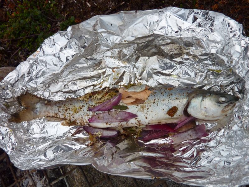 2011-07-21-2148_-_grillpakke_mad_oerred