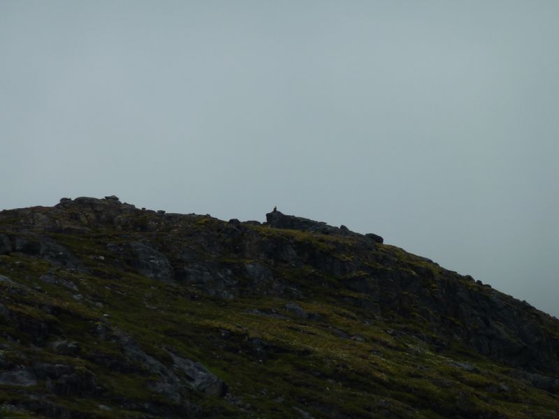 2011-07-22-1223_-_havoern