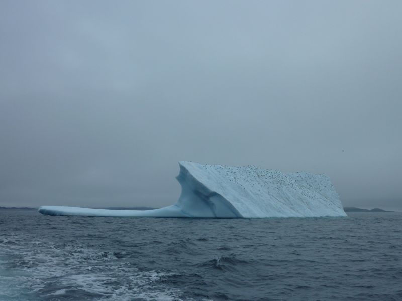 2011-07-23-1341_-_isfjeld