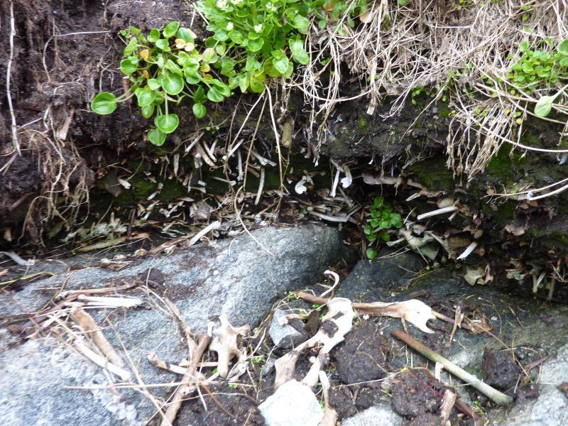 Hustomter og mødding i nærheden af Kanneq