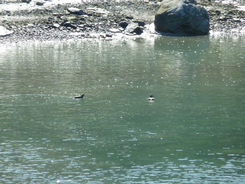 2011-07-30-1054_-_and_2