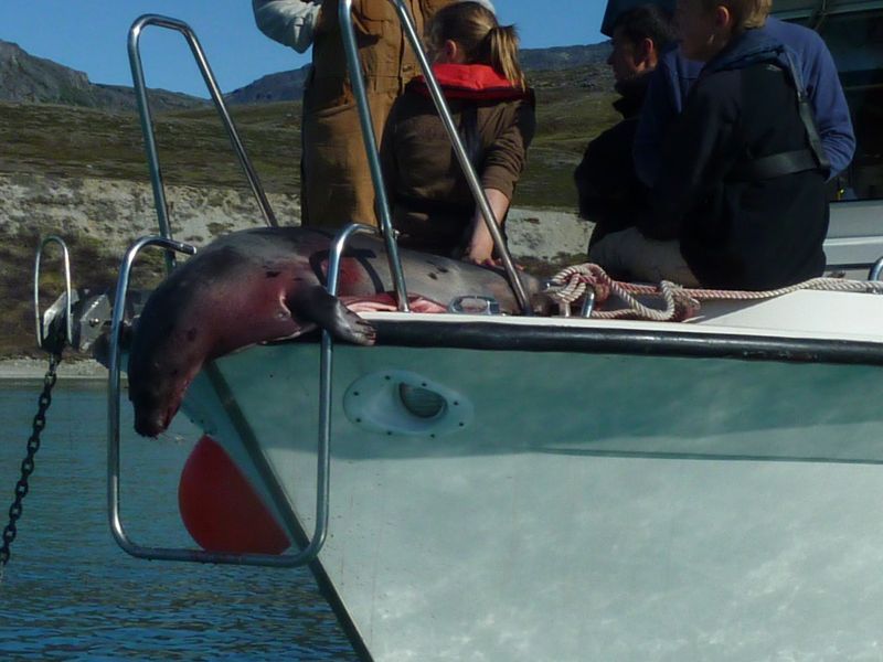 2011-07-30-1706_-_klaus_lage_labansen_mille_lage_labansen_ruder_3_sael