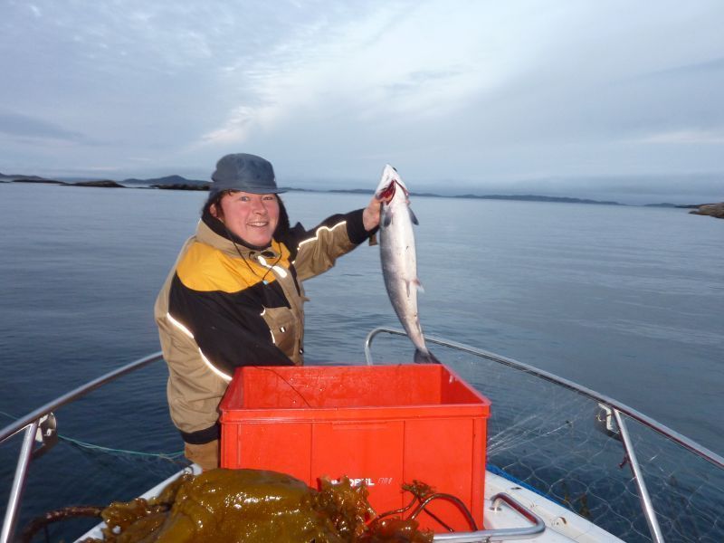 2011-09-15-0657_-_skaellaks_soeren_labansen
