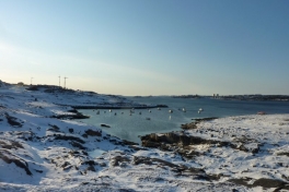 2011-11-01-1437_-_