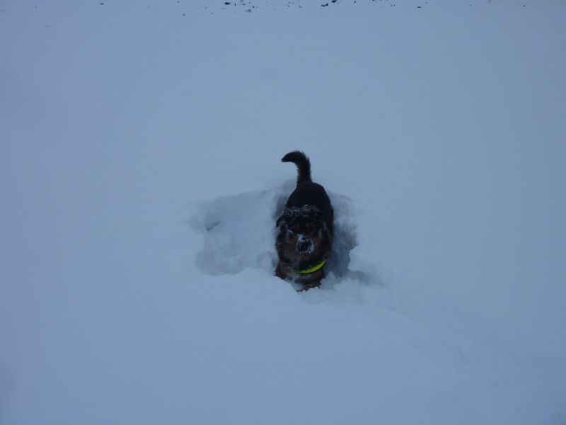 2011-12-14-1206_-_djanco