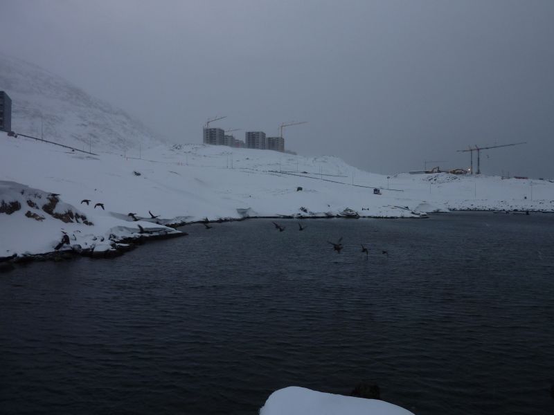 2011-12-16-1254_-_and