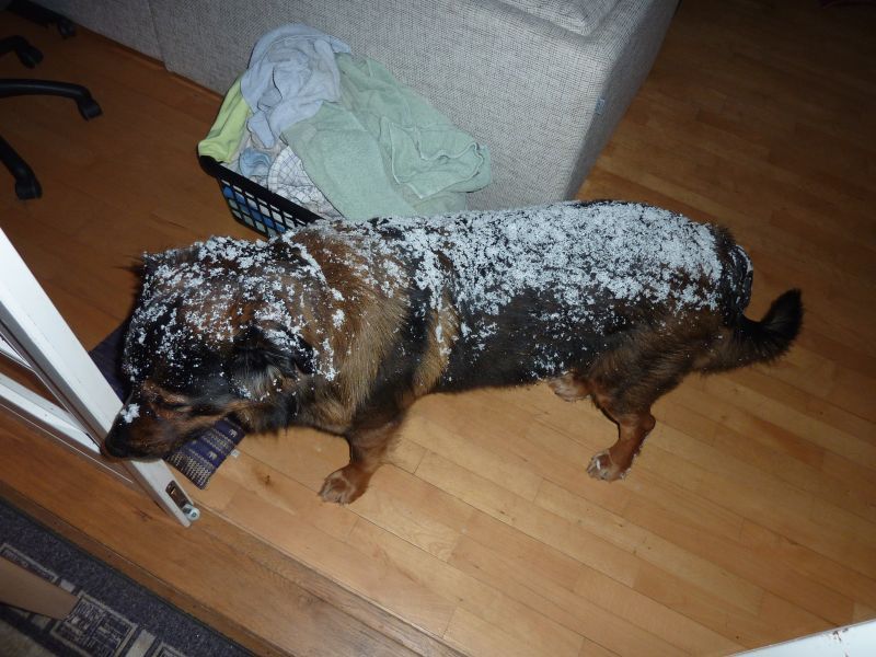 2011-12-22-2045_-_djanco