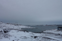 2011-12-01-1418_-_