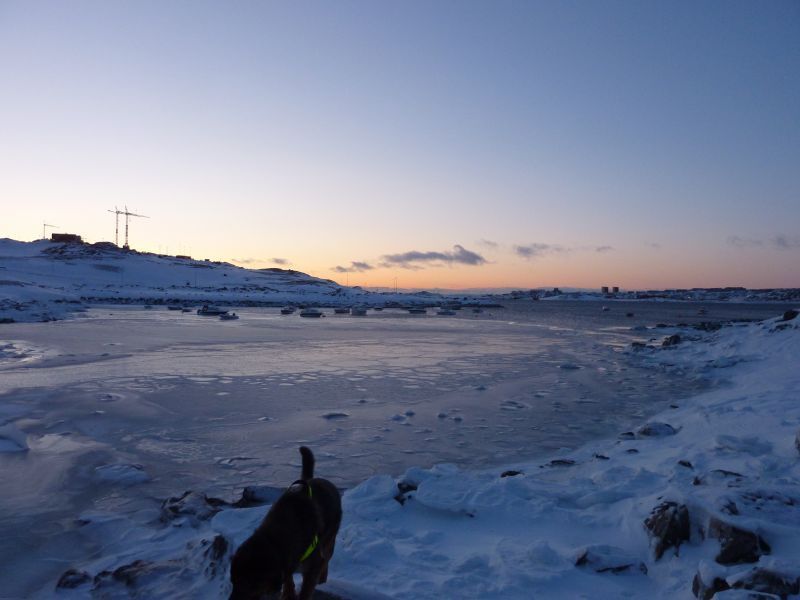 2012-01-02-1546_-_djanco