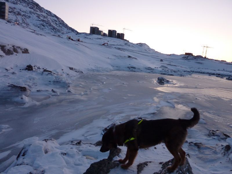 2012-01-02-1546_-_djanco_2