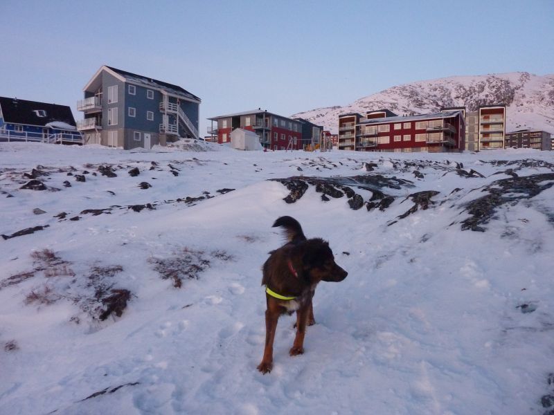 2012-01-03-1537_-_djanco_pupik