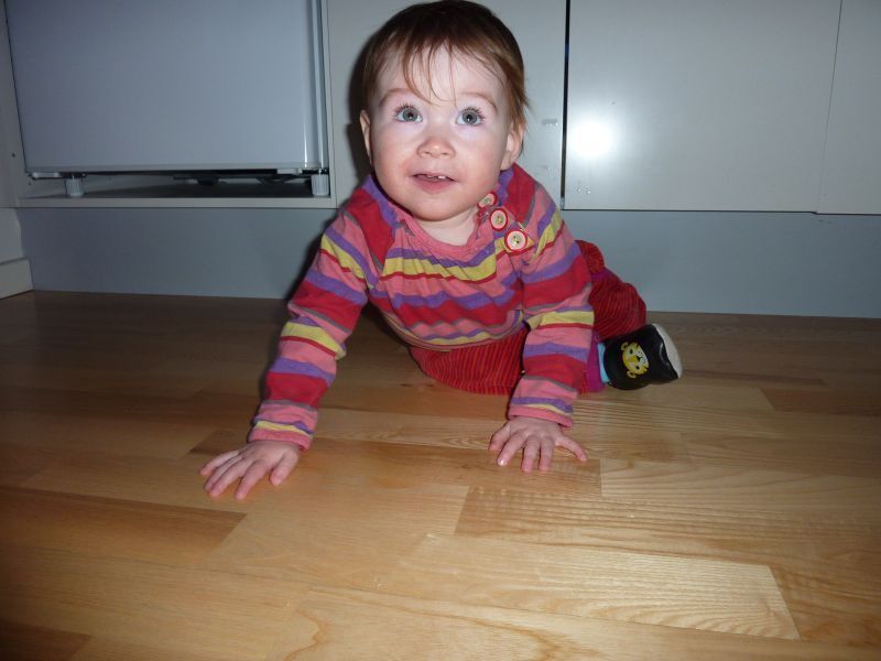 2012-01-08-1241_-_ukaleq_eugenius_labansen