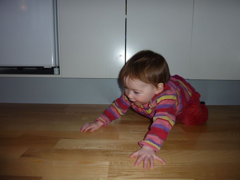 2012-01-08-1241_-_ukaleq_eugenius_labansen_2