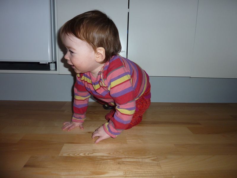 2012-01-08-1241_-_ukaleq_eugenius_labansen_3