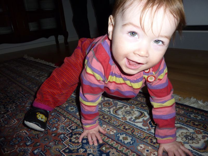 2012-01-08-1242_-_ukaleq_eugenius_labansen
