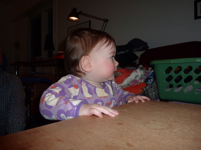2012-01-10-1951_-_ukaleq_eugenius_labansen