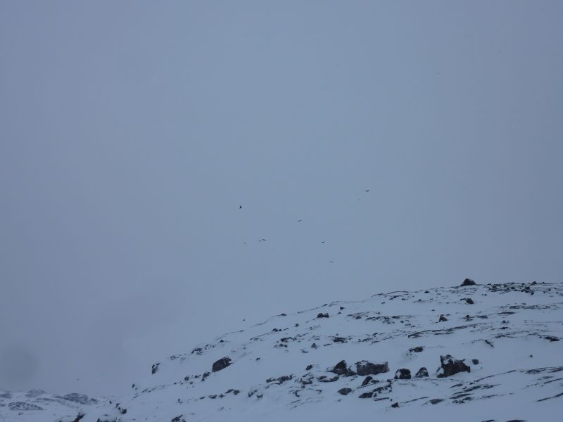 2012-01-12-1444_-_-_2