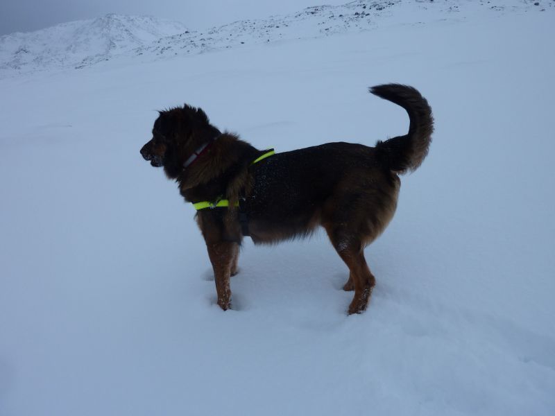 2012-01-17-1332_-_djanco