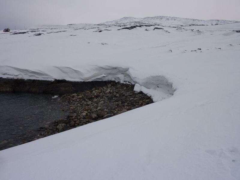 2012-01-20-1445_-_snefod_2