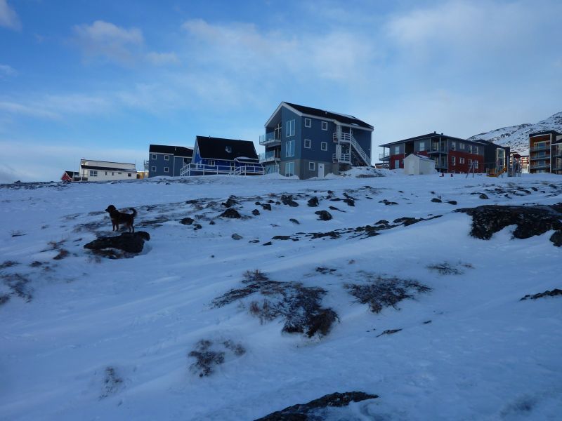 2012-01-23-1401_-_pupik