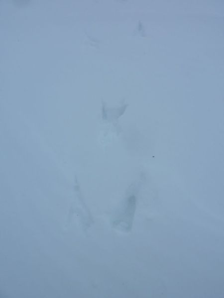 2012-01-27-1413_-_spor