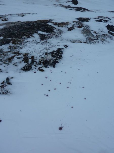 2012-01-27-1415_-_