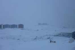 2012-01-08-1443_-_udsigt_fra_altan