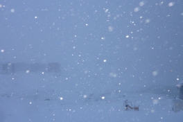 2012-01-09-1123_-_udsigt_fra_altan