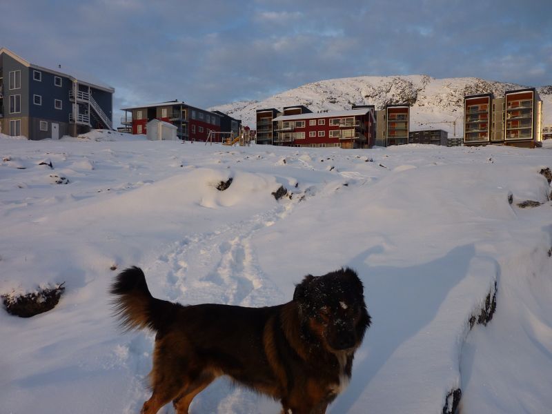 2012-02-06-1627_-_djanco_pupik
