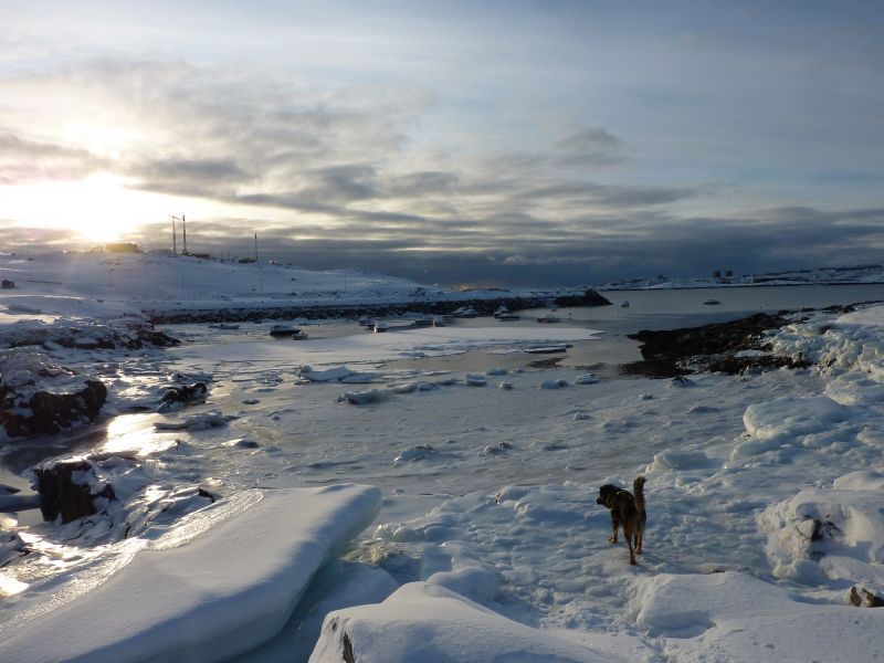2012-02-08-1558_-_djanco_havis