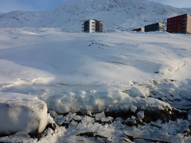 2012-02-08-1558_-_havis_2