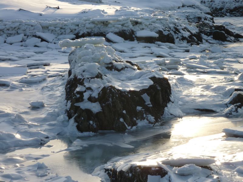 2012-02-08-1558_-_havis_4
