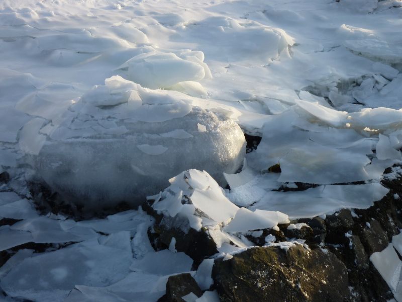 2012-02-08-1558_-_havis_5