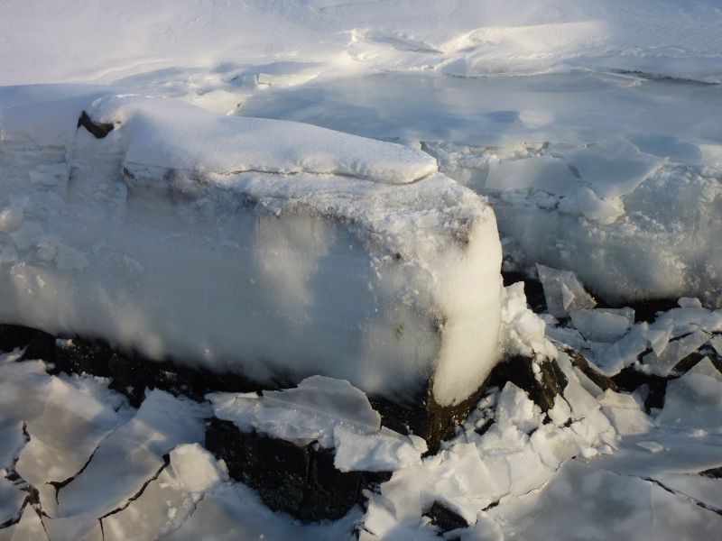 2012-02-08-1558_-_havis_6