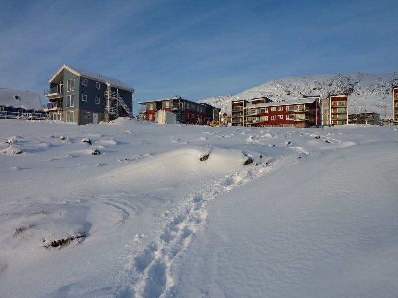 2012-02-08-1558_-_pupik