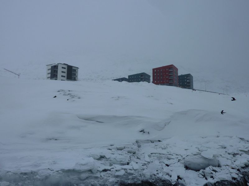 2012-02-09-1253_-_havis_2