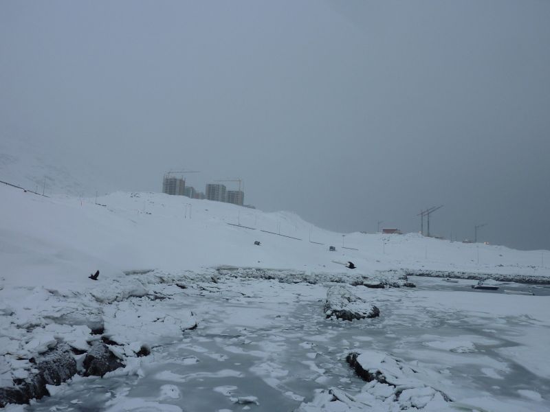 2012-02-09-1253_-_havis_3