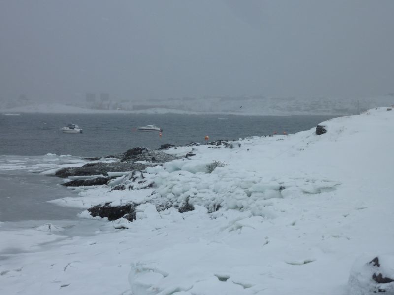 2012-02-09-1253_-_havis_4