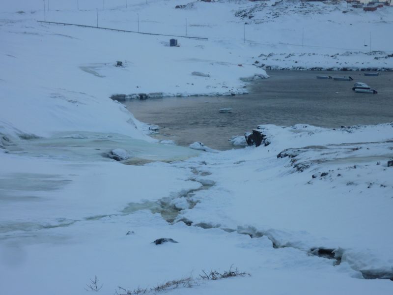 2012-02-14-1223_-_toebryd_3