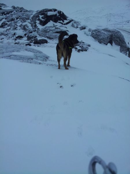 2012-02-21-1348_-_djanco