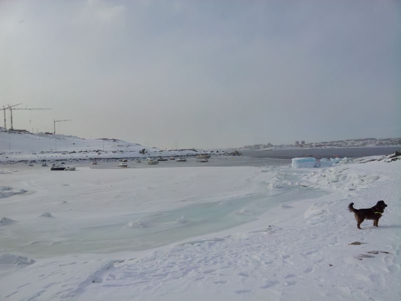 2012-03-01-1328_-_djanco