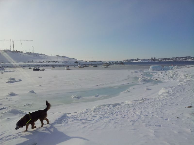 2012-03-02-1401_-_djanco