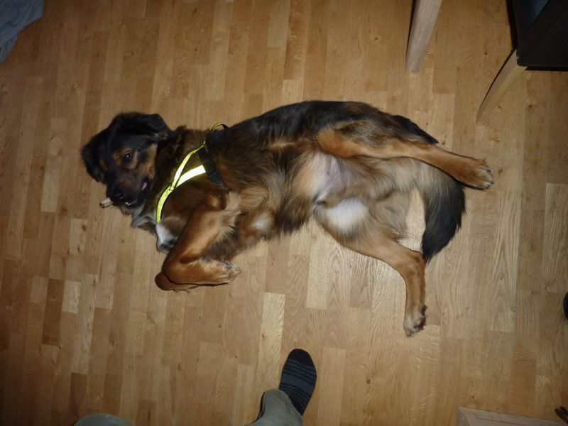 2012-03-13-1840_-_djanco